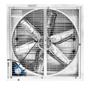 Industrial Ventilation Exhaust Fan 