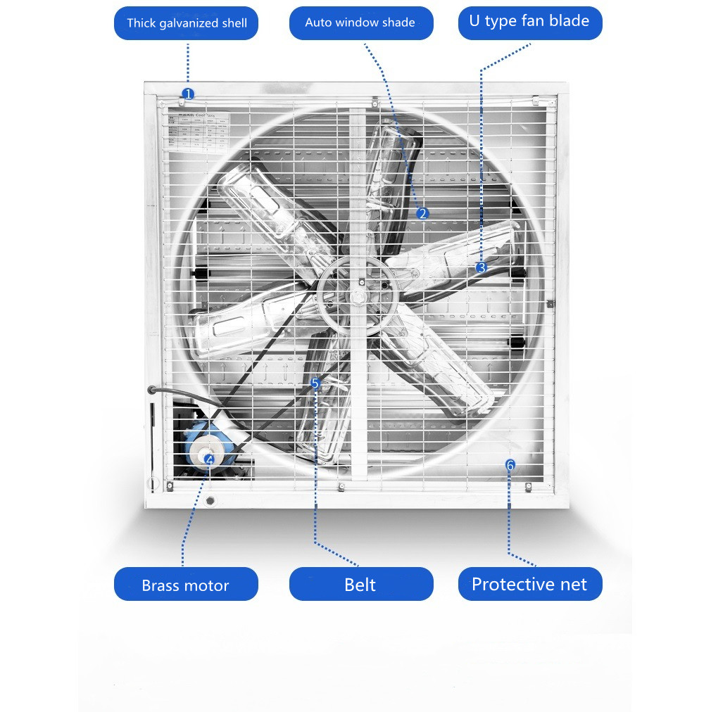 Model Wall Mounting Axial Industrial Ventilation Exhaust Fan 